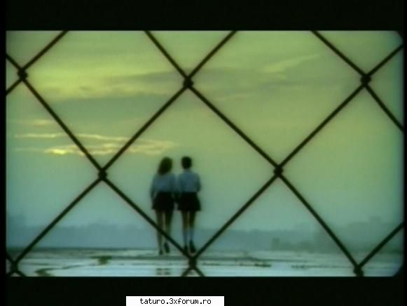 All the things She Said - defapt au fost plătite pentru imaginea asta - Videoclipuri si melodii!
