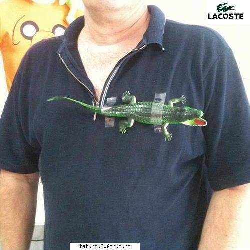 Fun time - Lacoste original - Jocuri si DiscutAiciii