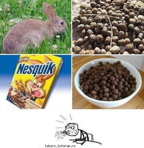 Fun time - poza asta nu are comentarii - Jocuri si DiscutAiciii
