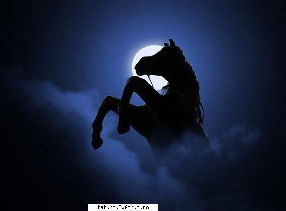 Love horse - laraXlena - Animale