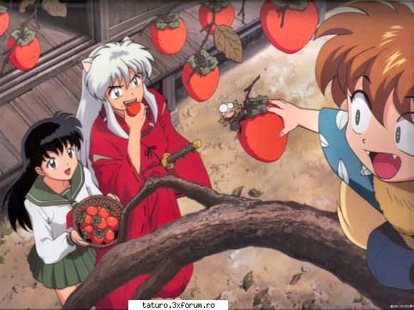 ma rog :rolleyes: 
cine se uita la inuyasha? seriale şi telenovele