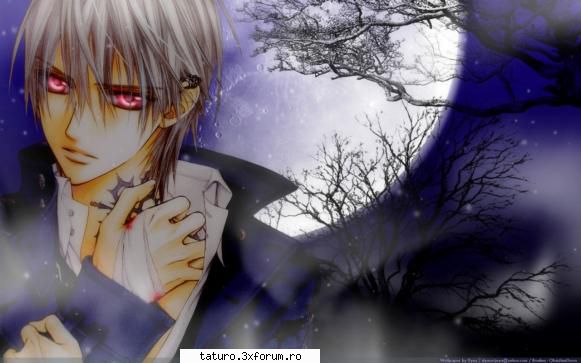 Vampire Knight - laraXlena - All about...girls